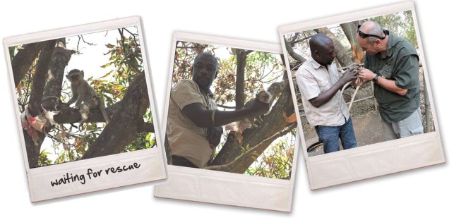 Jefferys story 1 copy