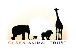 website 150dpi primary Logo copy