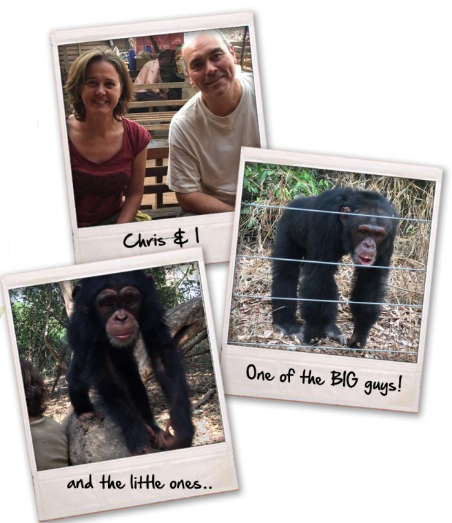 c01 Chris & chimps